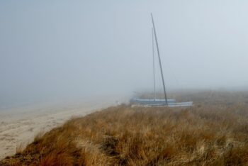 Foggy Shore Drive Beach Image ID: 111