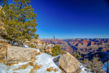Grand Canyon National Park Image ID: 558