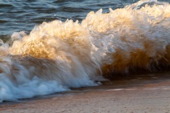 Sun and Sand Image ID: 517