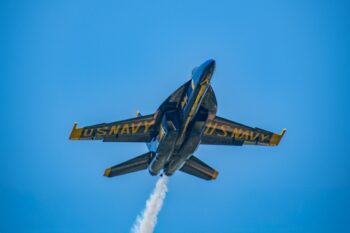 Blue Angels - Oceana Airshow Image ID: 608