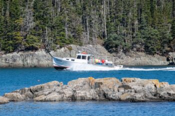 Lobster passing by Western Head Preserve in Cutler, Maine, surrounded by calm waters and scenic coastal landscape