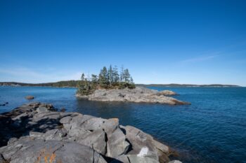 Scenic view of Western Head Preserve in Cutler, Maine, showcasing lush greenery and coastal landscape