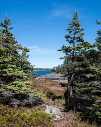Scenic view of the Western Head Preserve Trail in Cutler, Maine, showcasing autumn foliage in October 2025