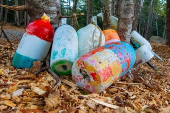 Lobster Trap Buoys Image ID: 1010