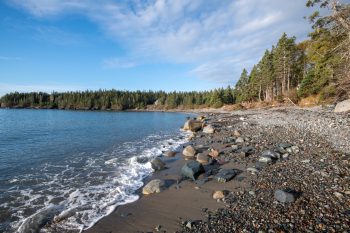Scenic view of Roque Bluffs in Maine during October 2025, showcasing vibrant blue sky and coastal landscape