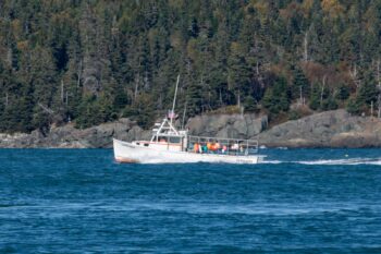 Lobster boat passing Western Head Preserve Trail in Cutler, Maine during October 2025