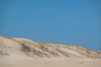 Scenic view of Corolla, North Carolina, showcasing lush greenery and a clear blue sky in April 2026