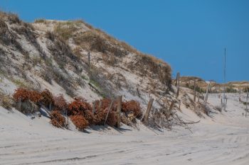 Scenic view of Corolla, North Carolina showcasing natural landscapes and coastal beauty