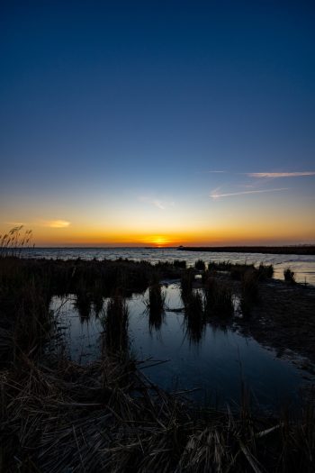 Sunset over Corolla Park in North Carolina, showcasing vibrant colors in the sky and silhouettes of trees
