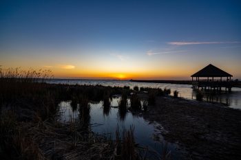Sunset over Corolla Park in North Carolina, showcasing vibrant colors in the sky and silhouettes of trees