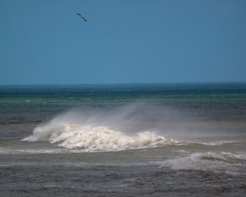 Scenic view of Corolla, North Carolina, showcasing the natural landscape in April 2026