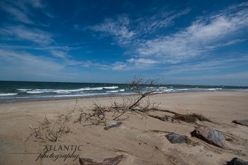 A sandy beach at River Point with gentle waves, scattered rocks, and a dry branch under a blue sky with wispy clouds